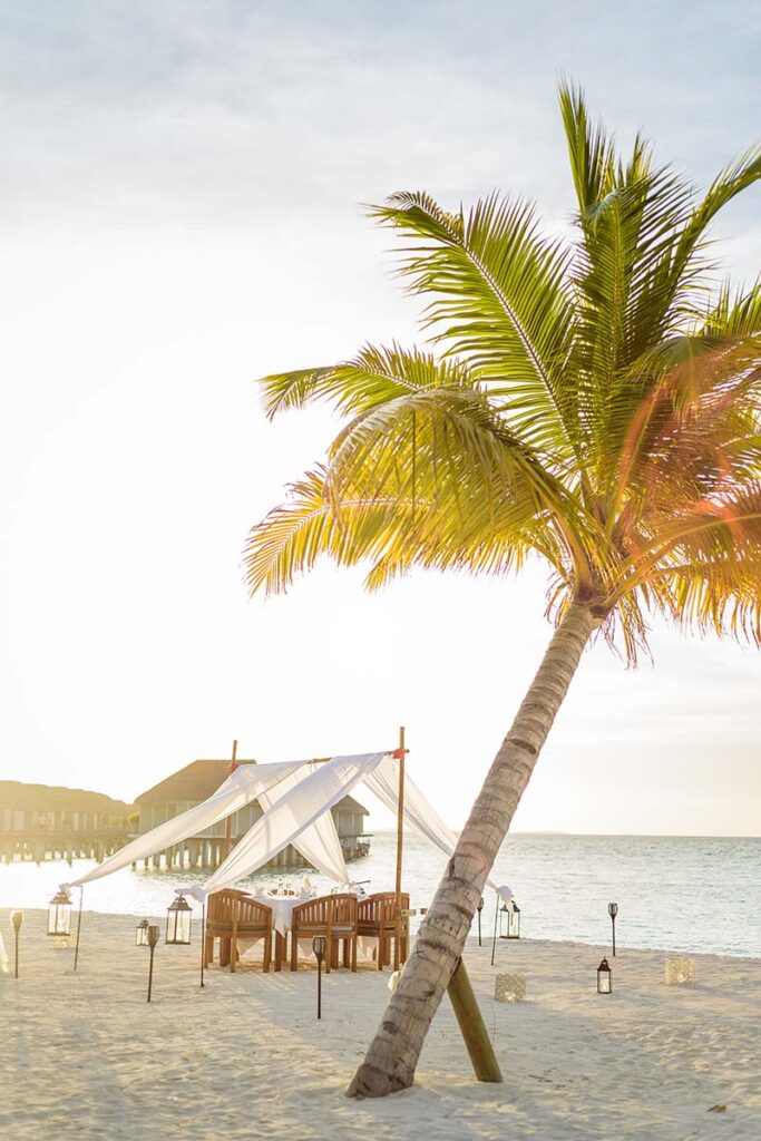 Summer Travel Safety Tips